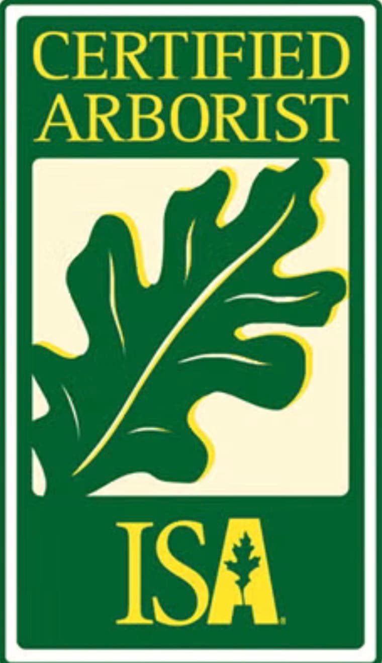 ISA Certified Arborist credential